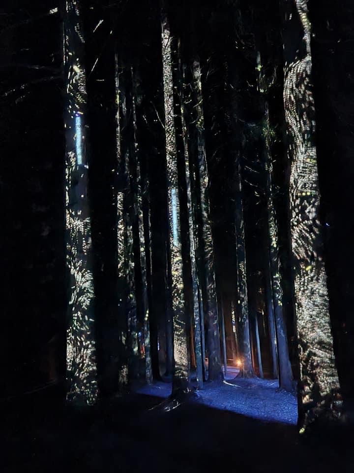 Photo n° 10 de l'avis de BOURDAIS.a fait le 20/07/2021 à 19:15