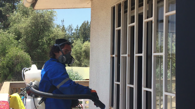Opiniones de TERRASANITIZACION en Valparaíso - Empresa de fumigación y control de plagas