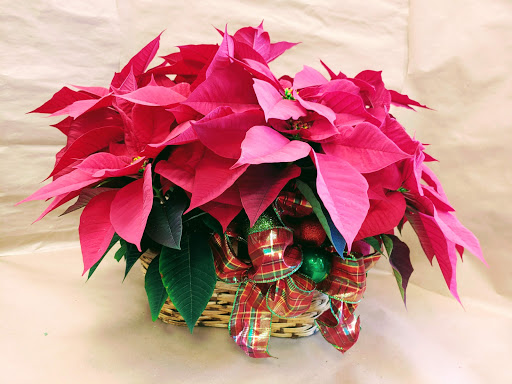 Florist «Flowerama of Springfield», reviews and photos, 659 W Sunshine St, Springfield, MO 65807, USA