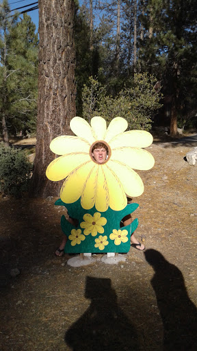 Grocery Store «Pine Mountain General Store», reviews and photos, 2513 Freeman Dr, Frazier Park, CA 93225, USA