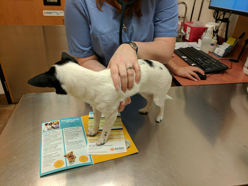 Pet Supply Store «PetSmart», reviews and photos, 139 Radio Dr, Stroudsburg, PA 18360, USA