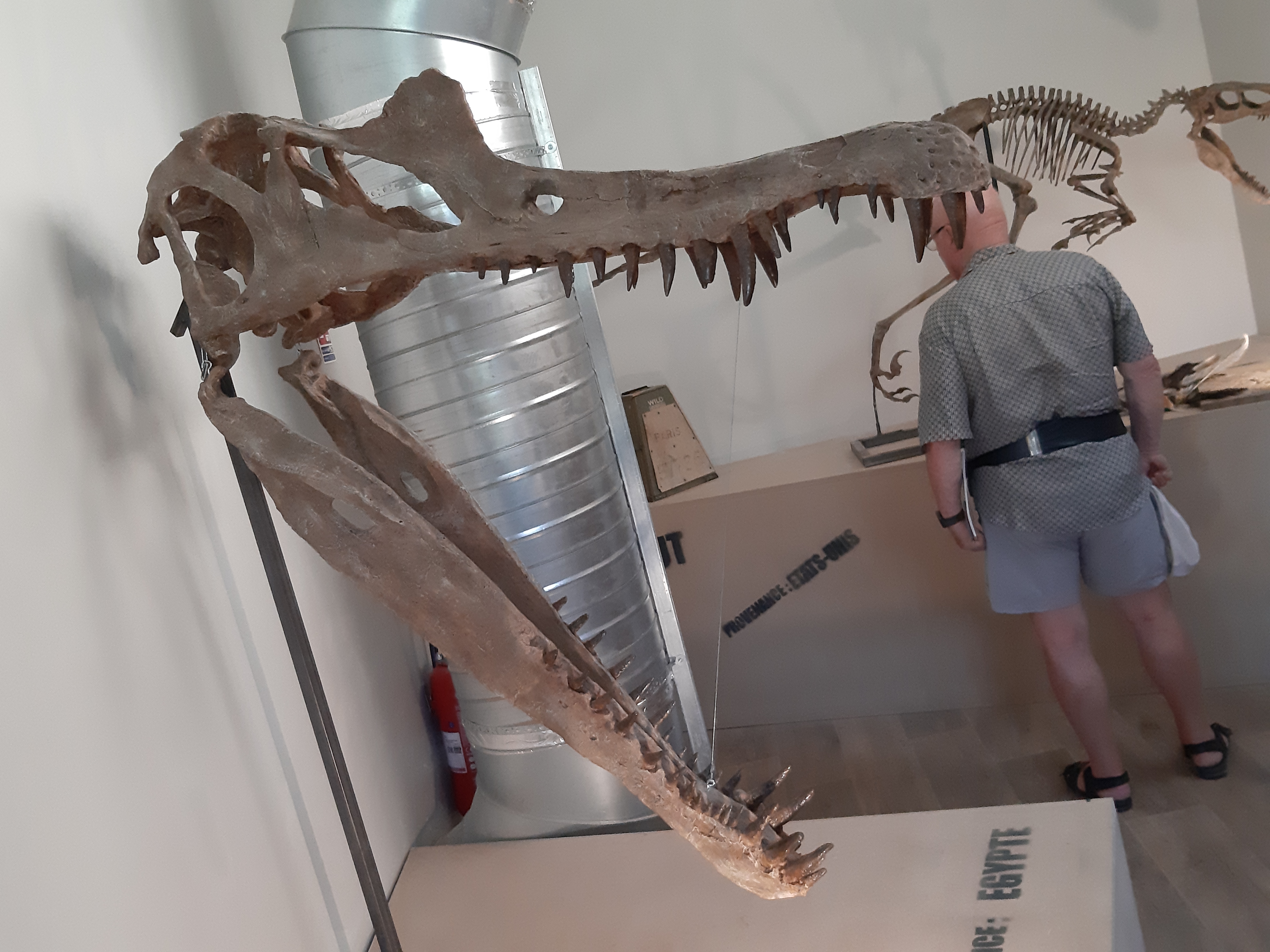 Photo n° 21 de l'avis de Guigeek_22. fait le 27/07/2019 à 09:37