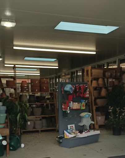 Wilcox Nursery, 12501 Indian Rocks Rd, Largo, FL 33774, USA, 