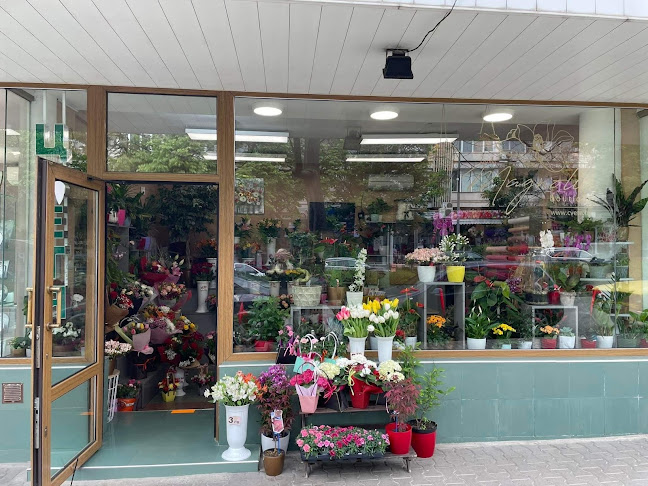 Магазин за цветя - Магнолия