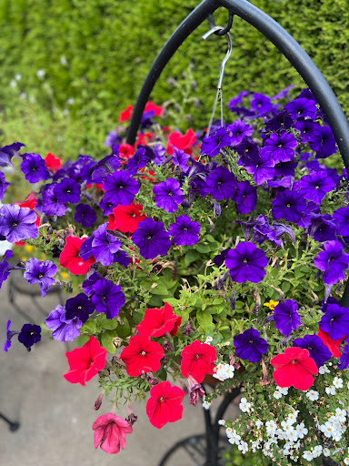 Produce Market «Boones Ferry Berry Farms», reviews and photos, 19602 NE Boones Ferry Rd, Hubbard, OR 97032, USA