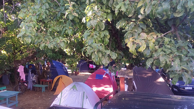 Sitio frente a futura Municipalidad de RFA - Centro comercial