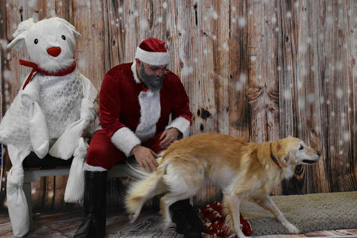 Pet Supply Store «Thomaston Feed of Cheshire», reviews and photos, 851 S Main St, Cheshire, CT 06410, USA