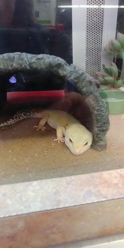 Pet Supply Store «Petco Animal Supplies», reviews and photos, 6015 Stage Rd, Bartlett, TN 38134, USA