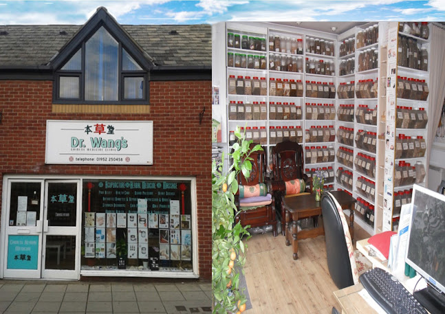 Dr. Wangs Chinese herbal medicine clinic
