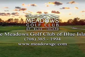 The Meadows Golf Club of Blue Island image