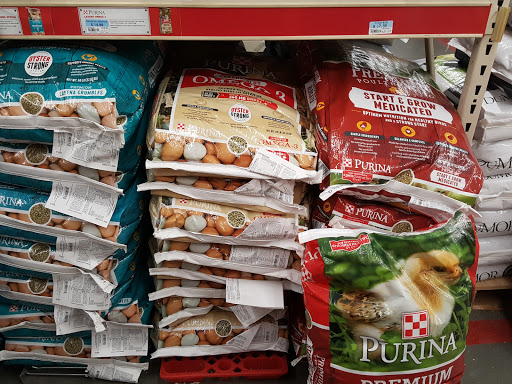 Home Improvement Store «Tractor Supply Co.», reviews and photos, 2220 Eatonton Rd, Madison, GA 30650, USA