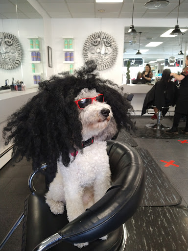 Beauty Salon «Vanessa A Hair Salon», reviews and photos, 730 Central Ave, Pawtucket, RI 02861, USA