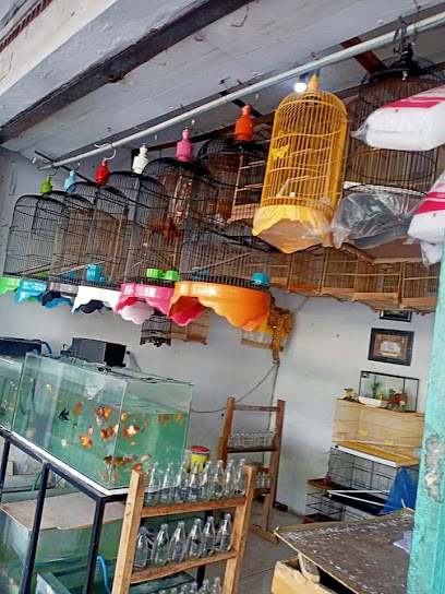 Mesari bird shop