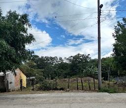 El Tuito bus photo