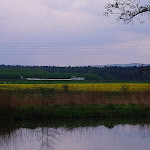 Photo n°3 de l'avis de Thomas.e fait le 03/05/2022 à 11:23 sur le restaurants Hoffmannsklause à Bamberg