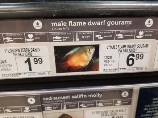 Pet Supply Store «Petco Animal Supplies», reviews and photos, 30 Veterans Memorial Hwy, Commack, NY 11725, USA