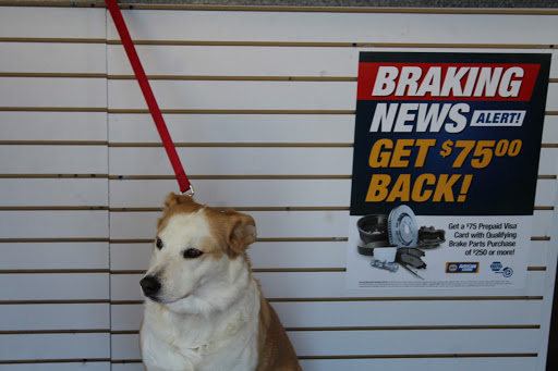 Oil Change Service «Protime Automotive», reviews and photos, 4880 Haygood Rd, Virginia Beach, VA 23455, USA