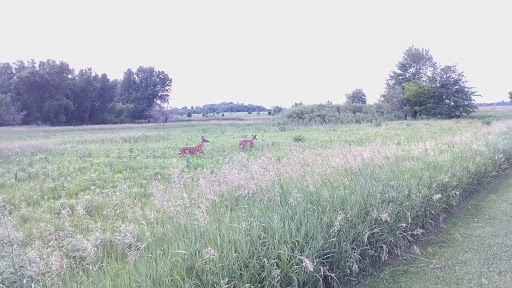 Nature Preserve «Rollins Savanna Forest Preserve», reviews and photos, 20160 W Washington St, Grayslake, IL 60030, USA