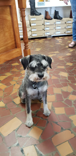 Shoe Store «Good for The SOLE Shoes & Accessories», reviews and photos, 728 Saluda Ave, Columbia, SC 29205, USA