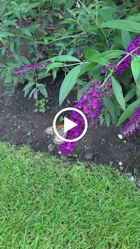 Performing Arts Theater «Theatre by the Sea», reviews and photos, 364 Cards Pond Rd, Wakefield, RI 02879, USA