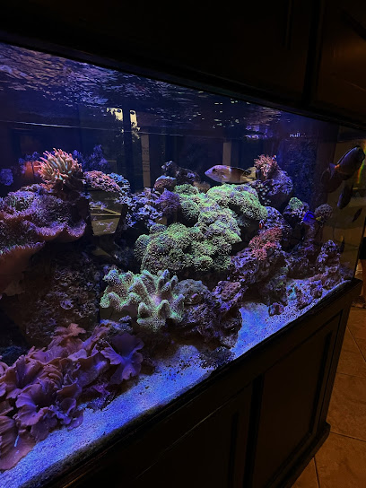 4 Ankers Corals, LLC