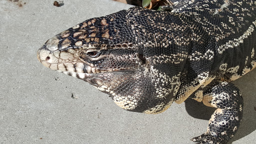 Pet Supply Store «Pet Club Elk Grove», reviews and photos, 8515 Bond Rd, Elk Grove, CA 95624, USA