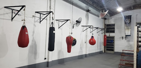 Guillermo Frosart Escuela de Boxeo