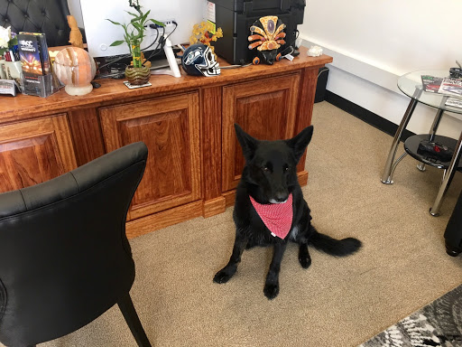 Used Car Dealer «Full Throttle Auto Sales», reviews and photos, 11105 Steele St S Ste 106, Tacoma, WA 98444, USA