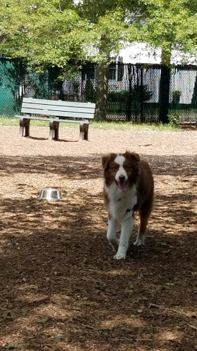 Park «Medway Dog Park», reviews and photos, 298 Village St, Medway, MA 02053, USA