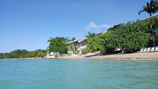Shaw Park Beach