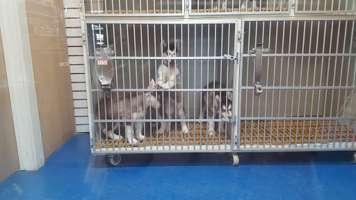 Pet Store «V.I. Pets», reviews and photos, 11975 E Lakewood Blvd, Holland, MI 49424, USA