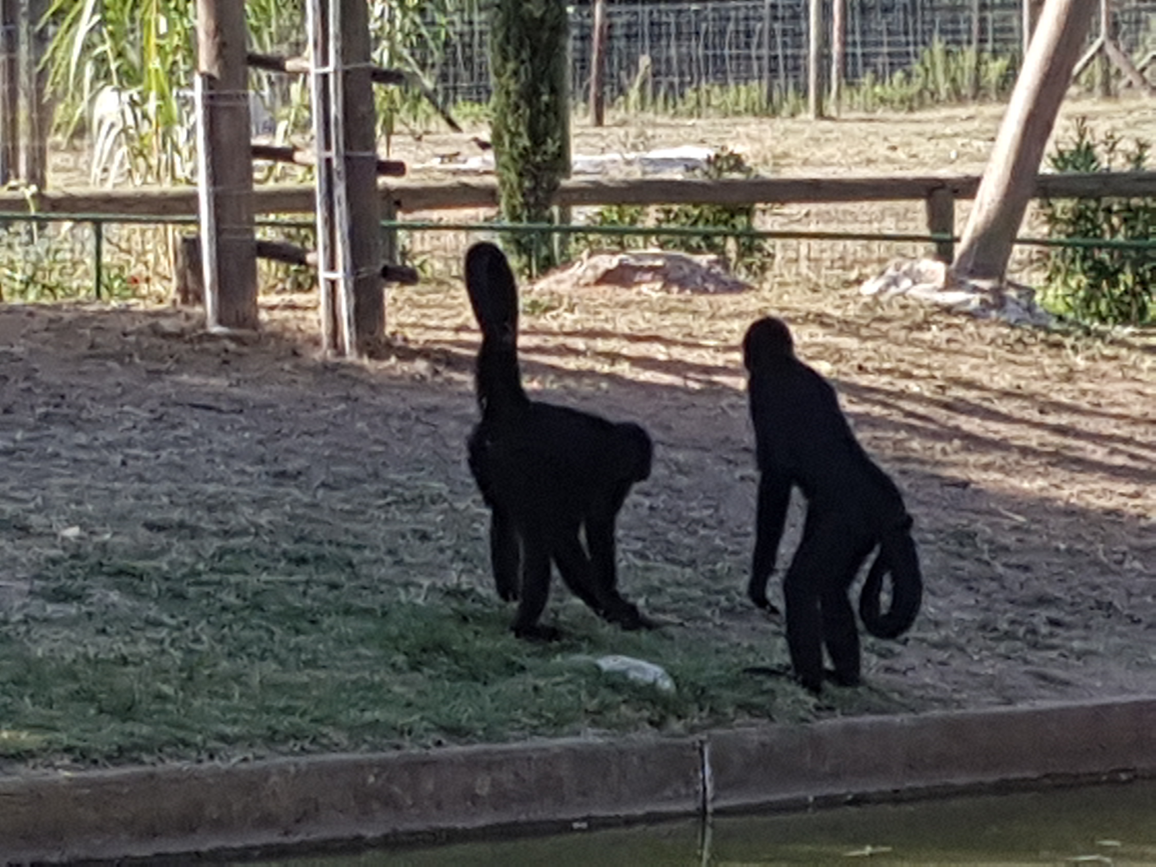 Photo n° 43 de l'avis de Armand.A fait le 09/09/2018 à 19:52