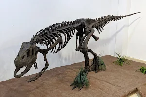 Museo Paleontológico de Estepona image