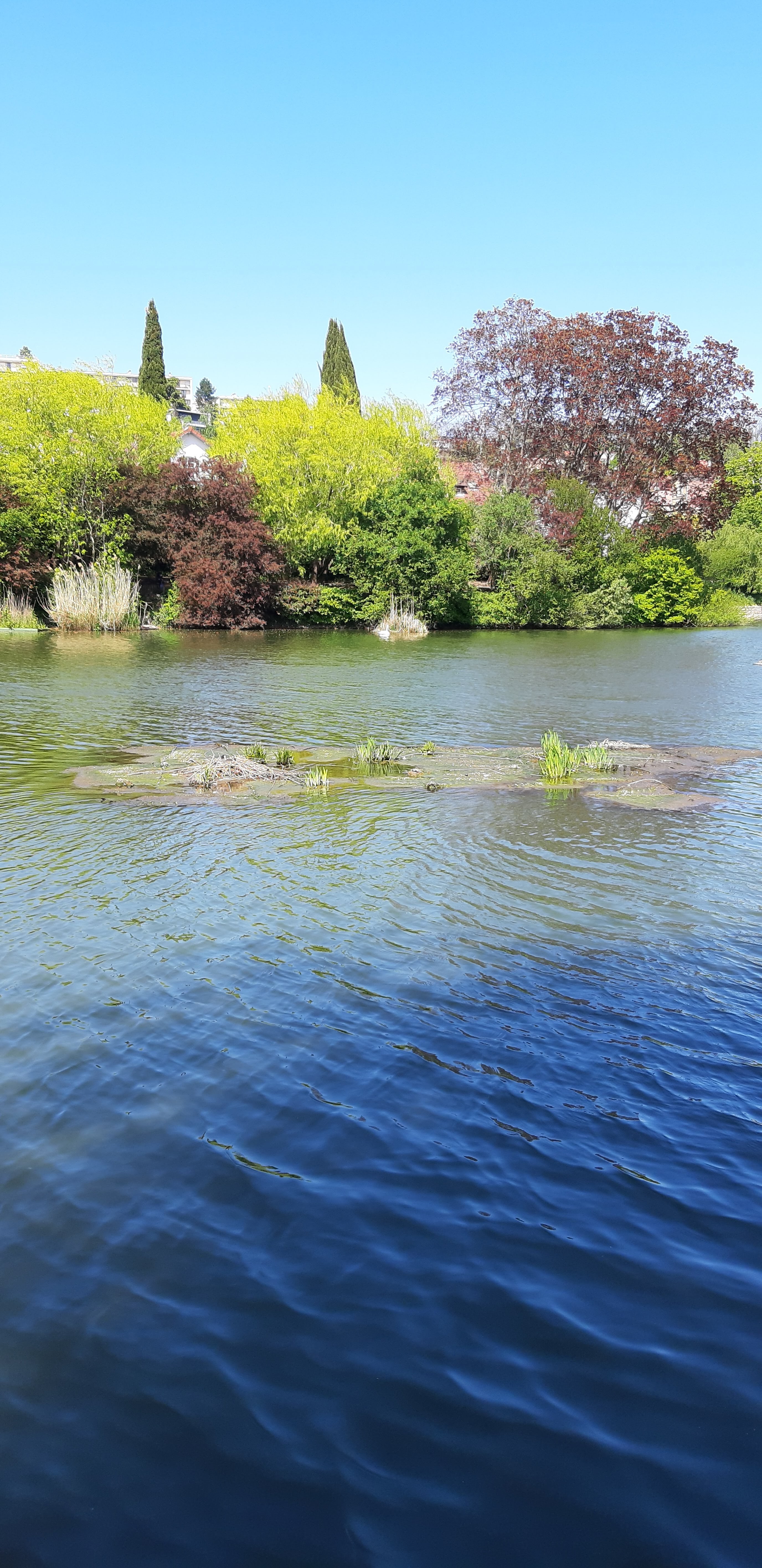 Photo n° 3 de l'avis de jean-claude.I fait le 02/05/2021 à 07:14