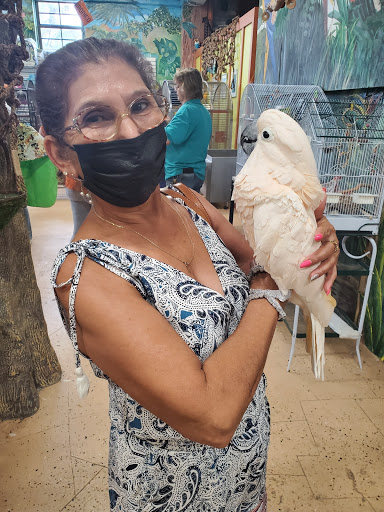 Bird Shop «The Aviary at Cauley Square», reviews and photos, 22400 Old Dixie Hwy, Miami, FL 33170, USA