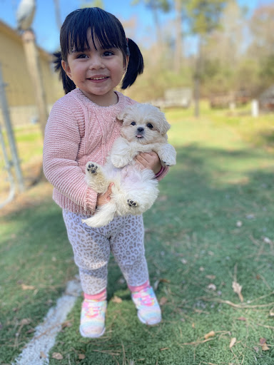 Law Firm «Farias Law Firm», reviews and photos