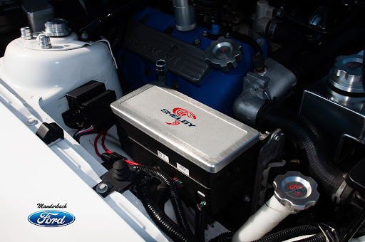 Ford Dealer «Manderbach Ford», reviews and photos, 4450 N 5th Street Hwy, Temple, PA 19560, USA