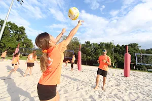 Phoenix Beach Volleyball Club image