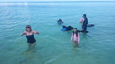 Photos of Hammerhead Scuba Diving Center
