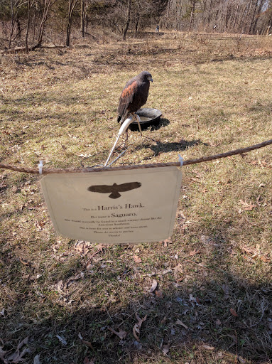 Nature Preserve «Iowa Raptor Center», reviews and photos, 2095 Mehaffey Bridge Rd NE, Solon, IA 52333, USA