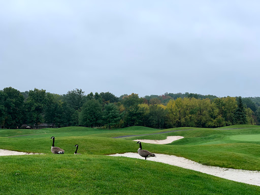 Golf Course «Fox Hollow Golf Club», reviews and photos, 59 Fox Chase Run, Branchburg, NJ 08876, USA