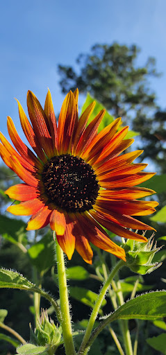 Park «Little Nancy Creek Park», reviews and photos, 4012 Peachtree Dunwoody Rd, Atlanta, GA 30342, USA