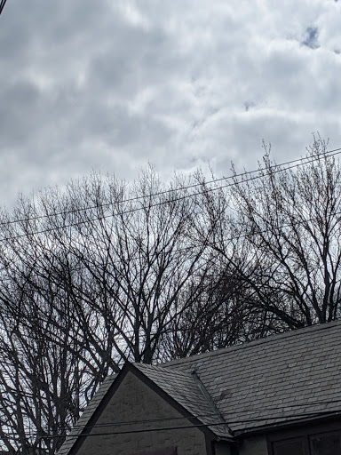 Supermarket «The Harrison Market», reviews and photos, 355 Halstead Ave, Harrison, NY 10528, USA