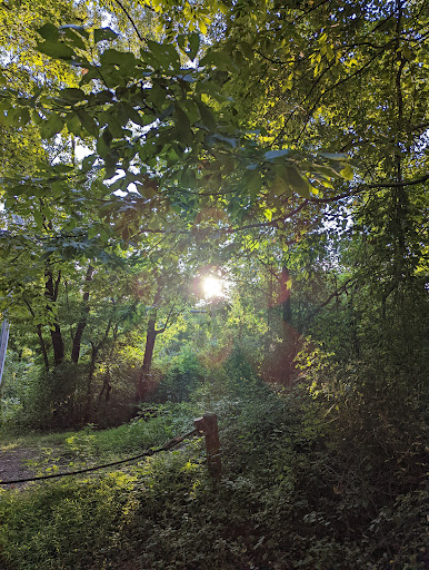 Nature Preserve «Liberty Reservoir», reviews and photos, 5685 Oakland Rd, Eldersburg, MD 21784, USA