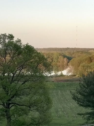 Vineyard «The Winery at Wolf Creek», reviews and photos, 2637 S Cleveland Massillon Rd, Barberton, OH 44203, USA