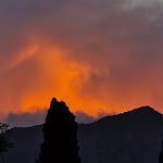 Photo n°2 de l'avis de Silke. fait le 08/08/2022 à 20:35 sur le  Ristorante Da Bianca à Malcesine