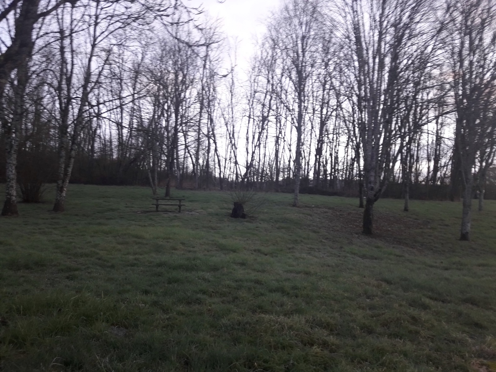 Photo n° 6 de l'avis de El.e fait le 03/03/2020 à 06:20