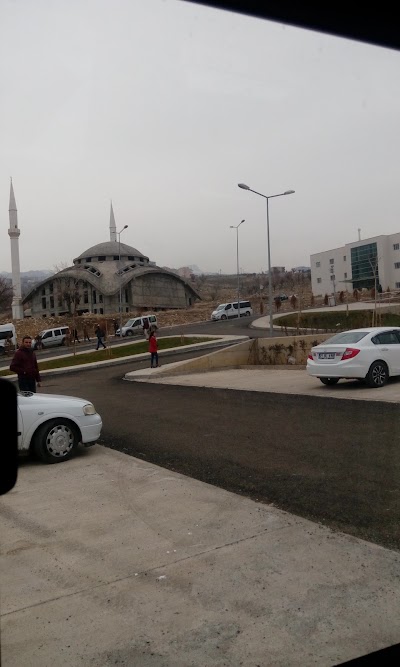 Photos of Sirnak University