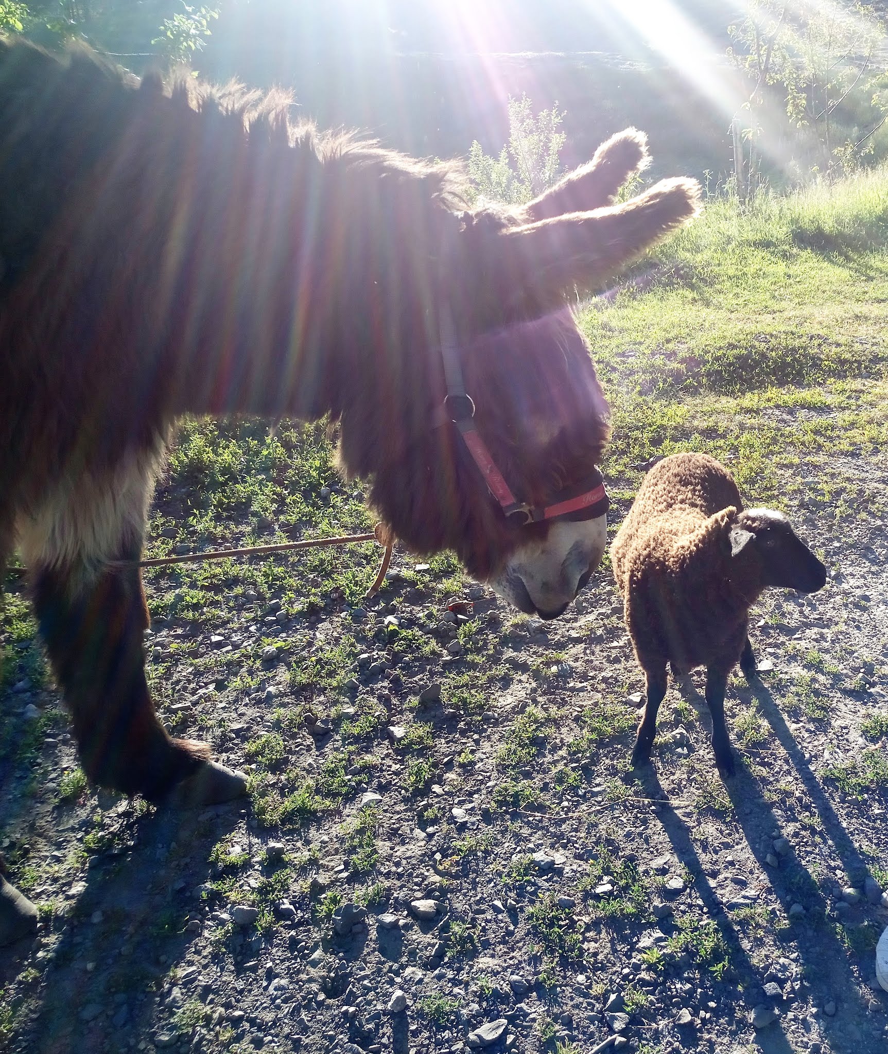 Photo n° 2 de l'avis de Bernard.o fait le 28/06/2018 à 15:19
