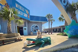 Pedro's Myrtle Beach Shop image